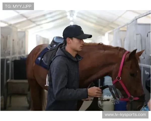 伊朗马术协会开展马匹福利宣传活动，提升公众意识。，伊朗 大马士革